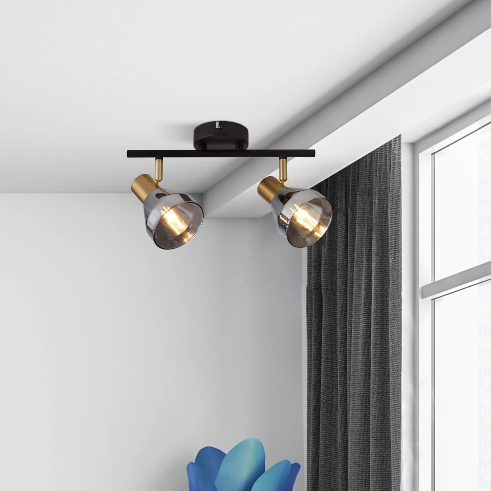 Ceiling lamp Westminster with smoke glass 2-lights Searchlight 5053423227894
