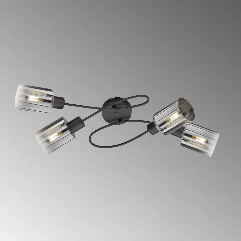 Ceiling light Iska 4-light Fischer & Honsel 4003694213219