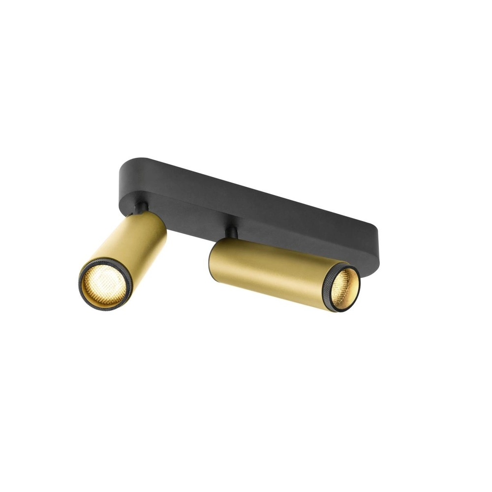 Surface-mounted spot Grip! M 2-light gold 3000K