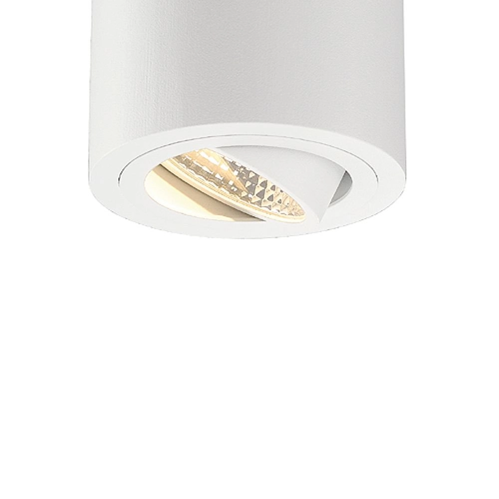 Surface-mounted spot Triledo Round CL SLV 4024163142021