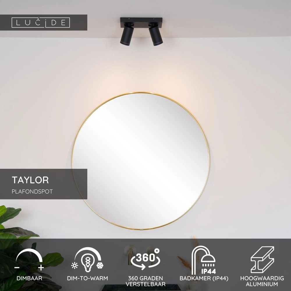 Ceiling spotlight Taylor IP44 2-light black Lucide 5411212092632