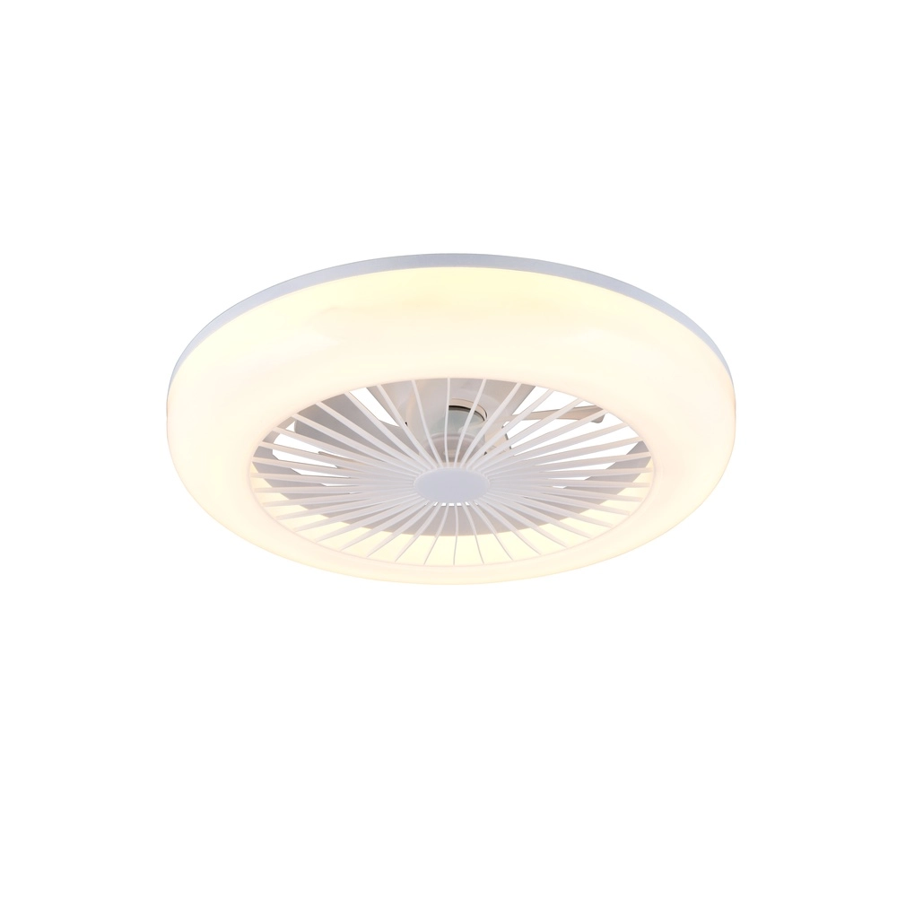 Ceiling fan Mora white with lamp