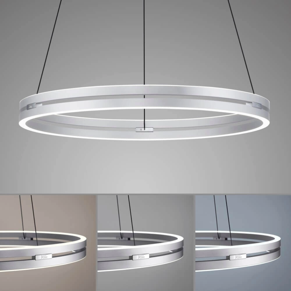 Sleek hanging lamp Pure E-Loop aluminum Ø 70cm Paul Neuhaus 4012248372302