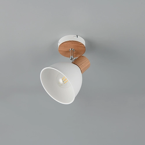 Ceiling lamp Delume only white Trio 4017807672213