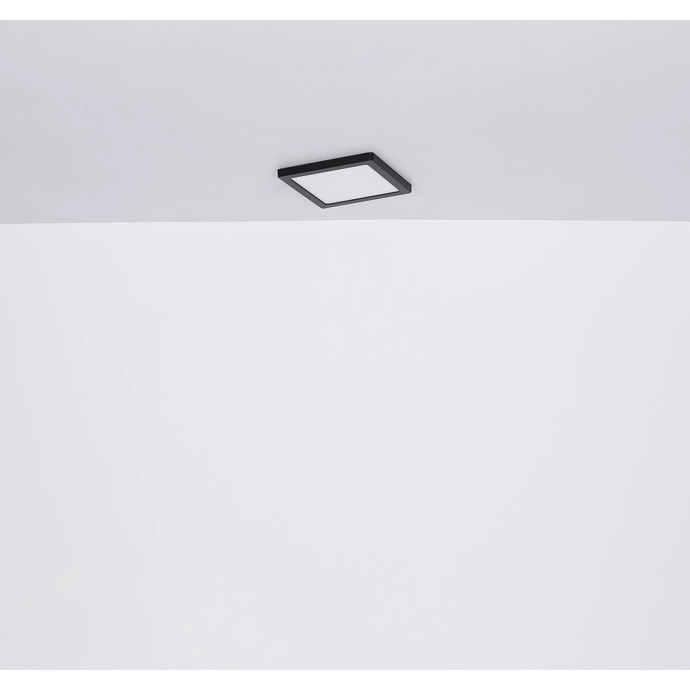 Design ceiling light Lasse Square Black 16.7cm Globo 9007371439898