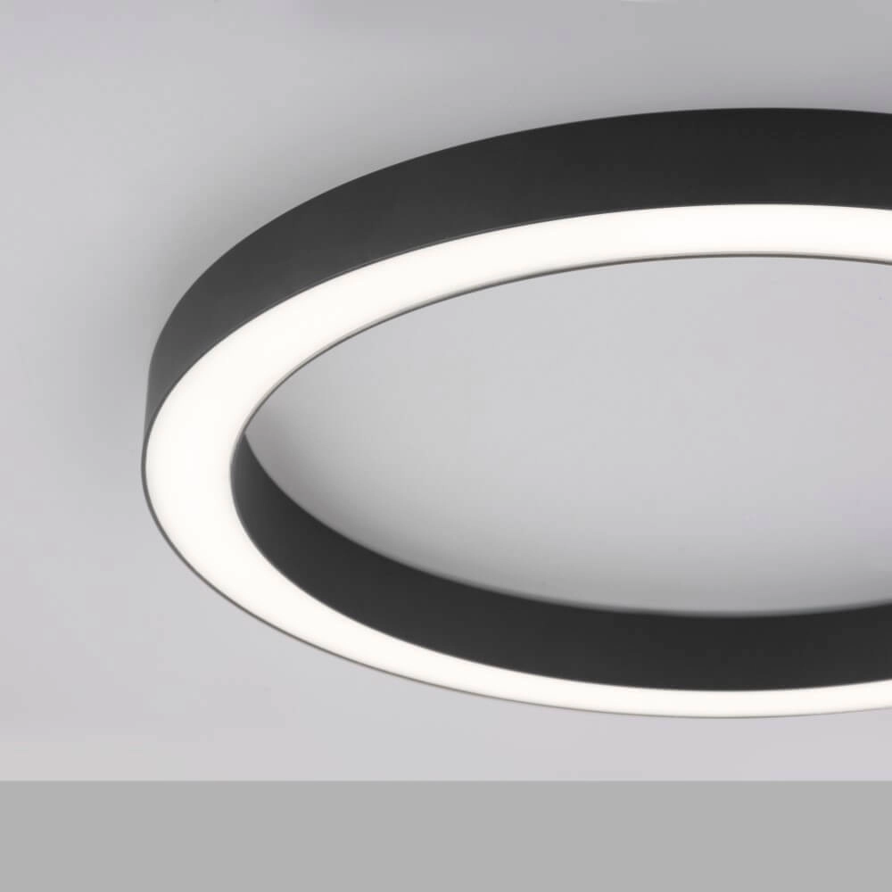 Round floor lamp Pure Lines Round Ø 50cm anthracite Paul Neuhaus 4012248375853