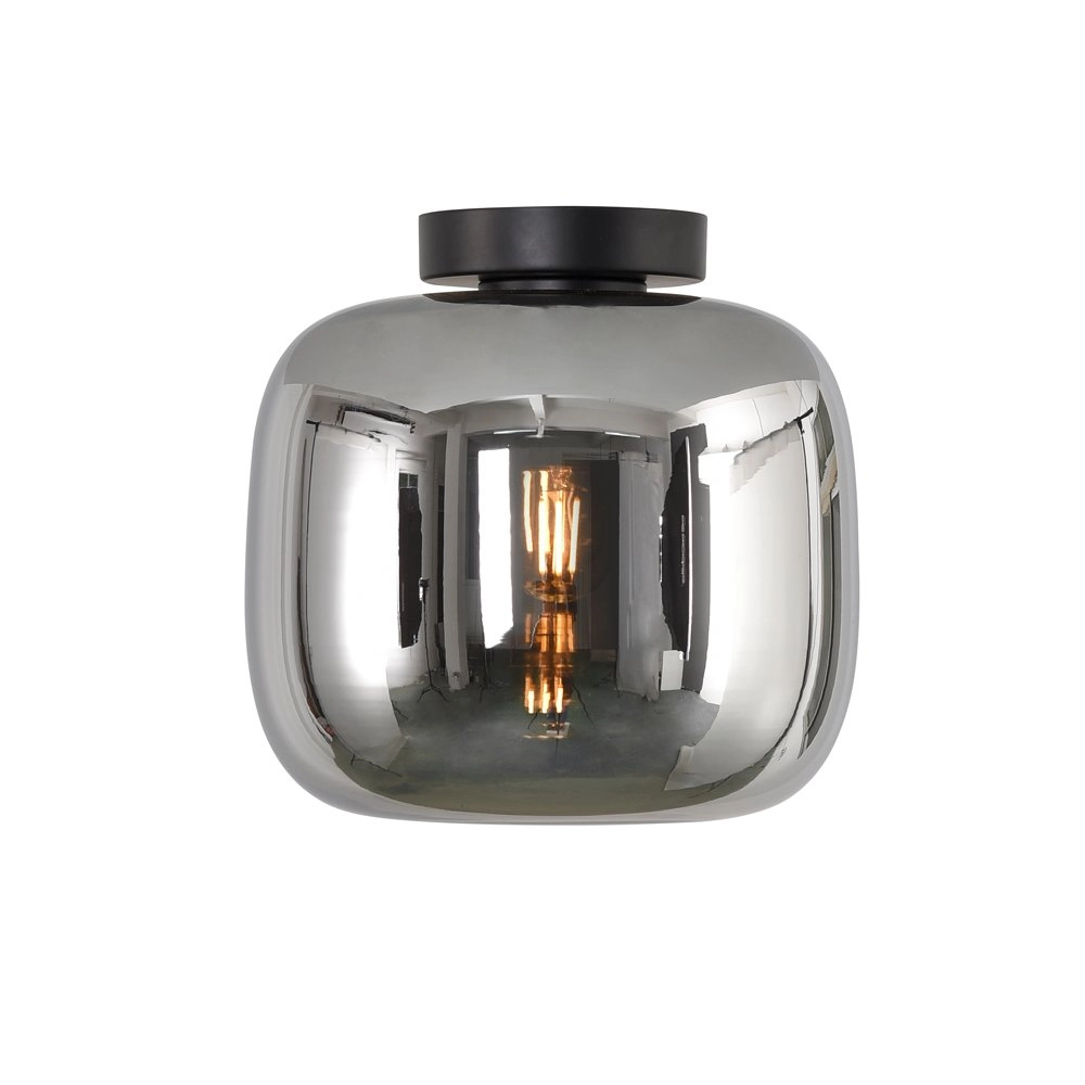 Ceiling light Preston-24 with smoke glass