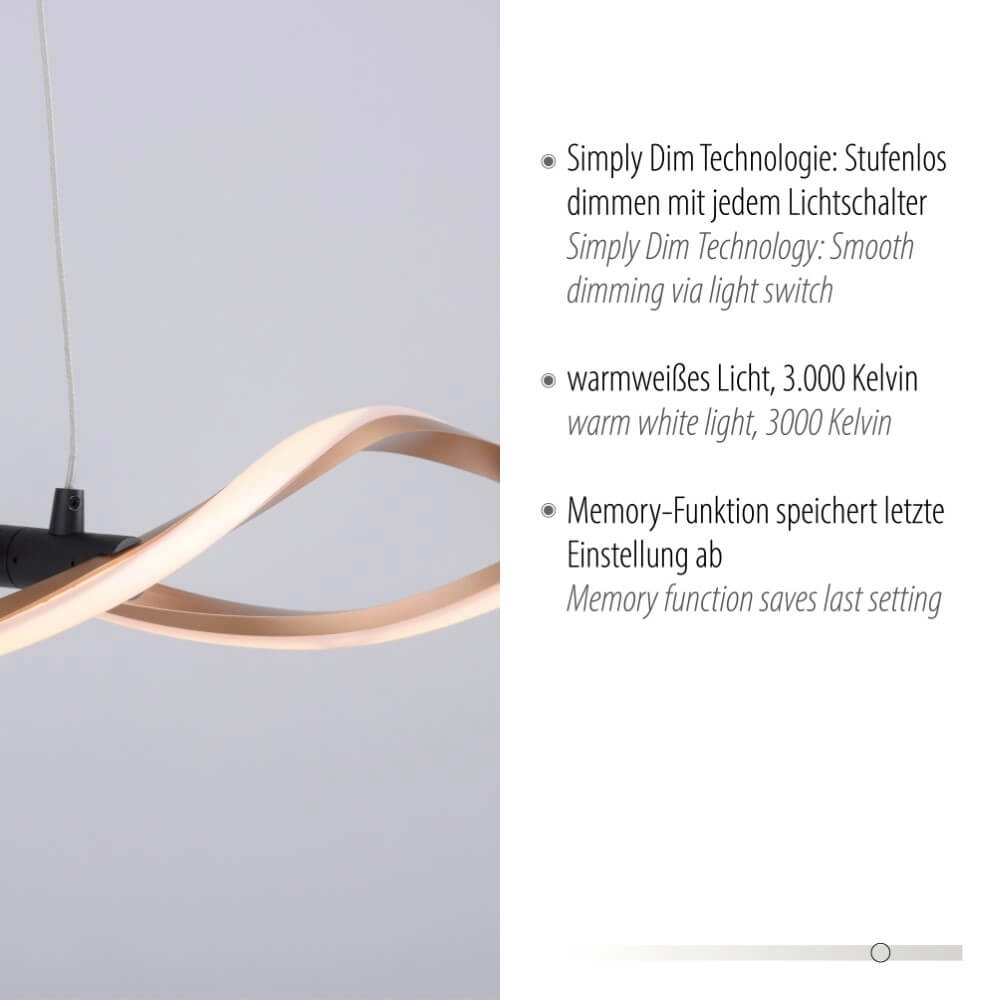 Design pendant lamp Polina 105cm Paul Neuhaus 4012248371718