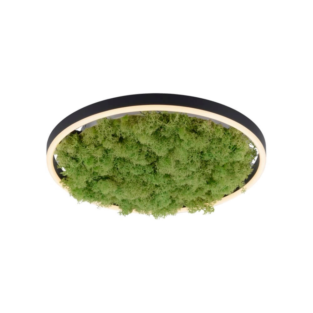 Ceiling lamp Green Ritus with moss Ø 39,3cm Just Light 4043689994792