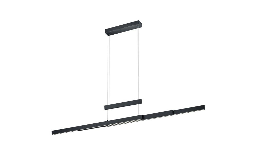 Adjustable hanging lamp Trajan Matt black