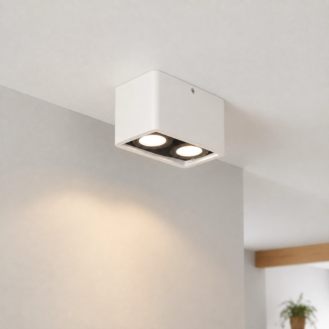 Double surface-mounted spot Bronx white