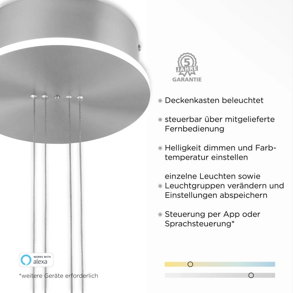 Design pendant lamp Q-Etienne metal Paul Neuhaus 4012248350386