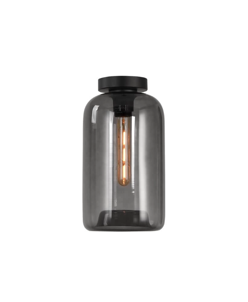 Ceiling light Botany smoke glass