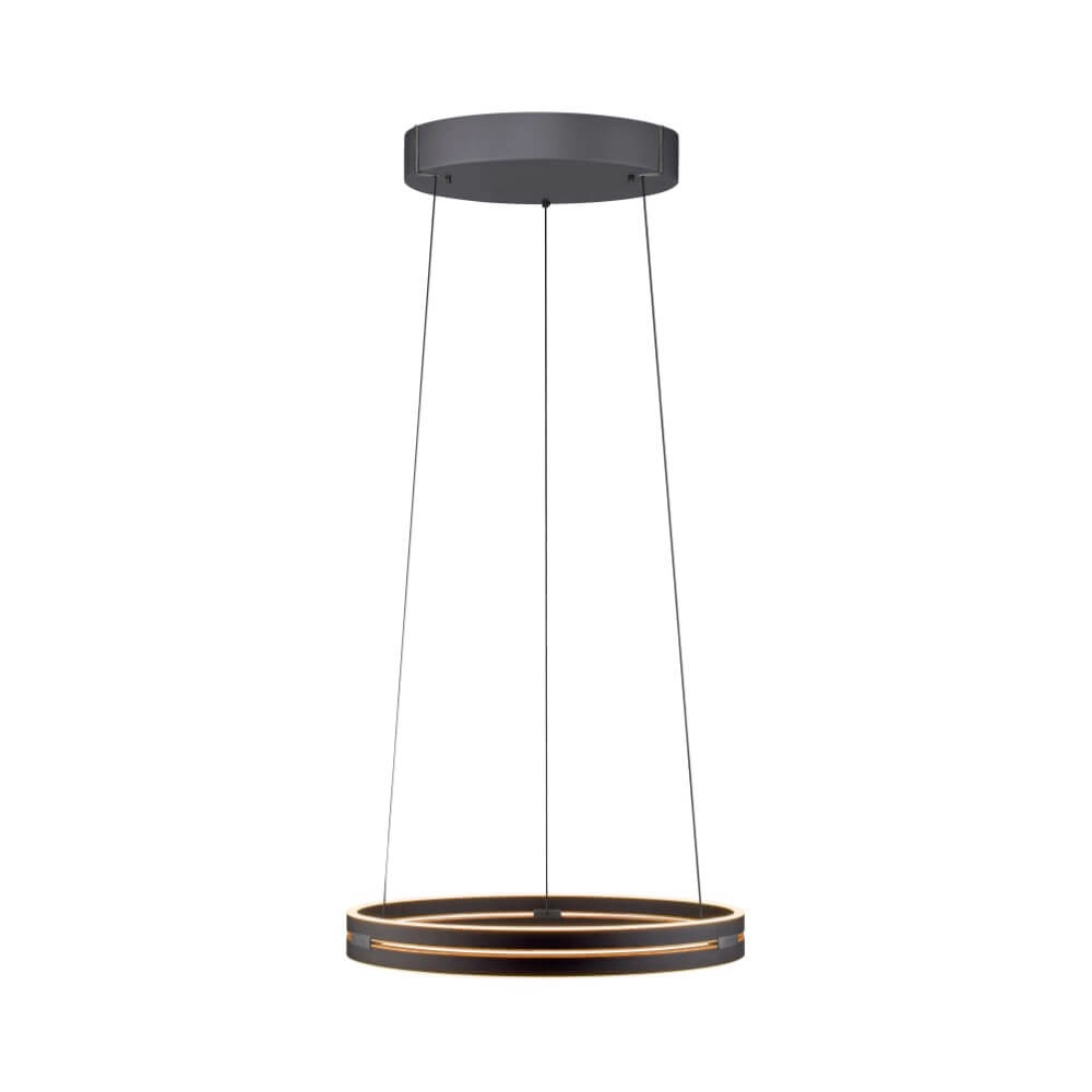 Sleek hanging lamp Pure E-Loop black