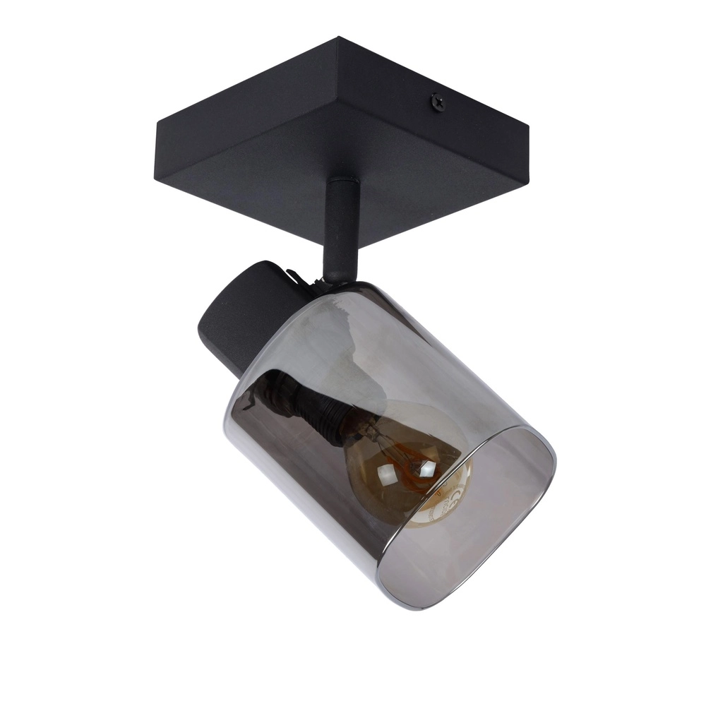 Ceiling lamp Alion Single black with smoke glass