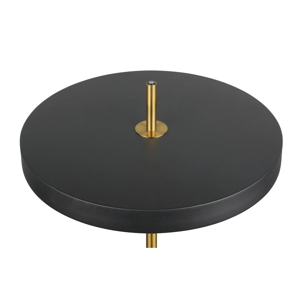 Modern floor lamp Keaton black with gold Trio 4017807655926