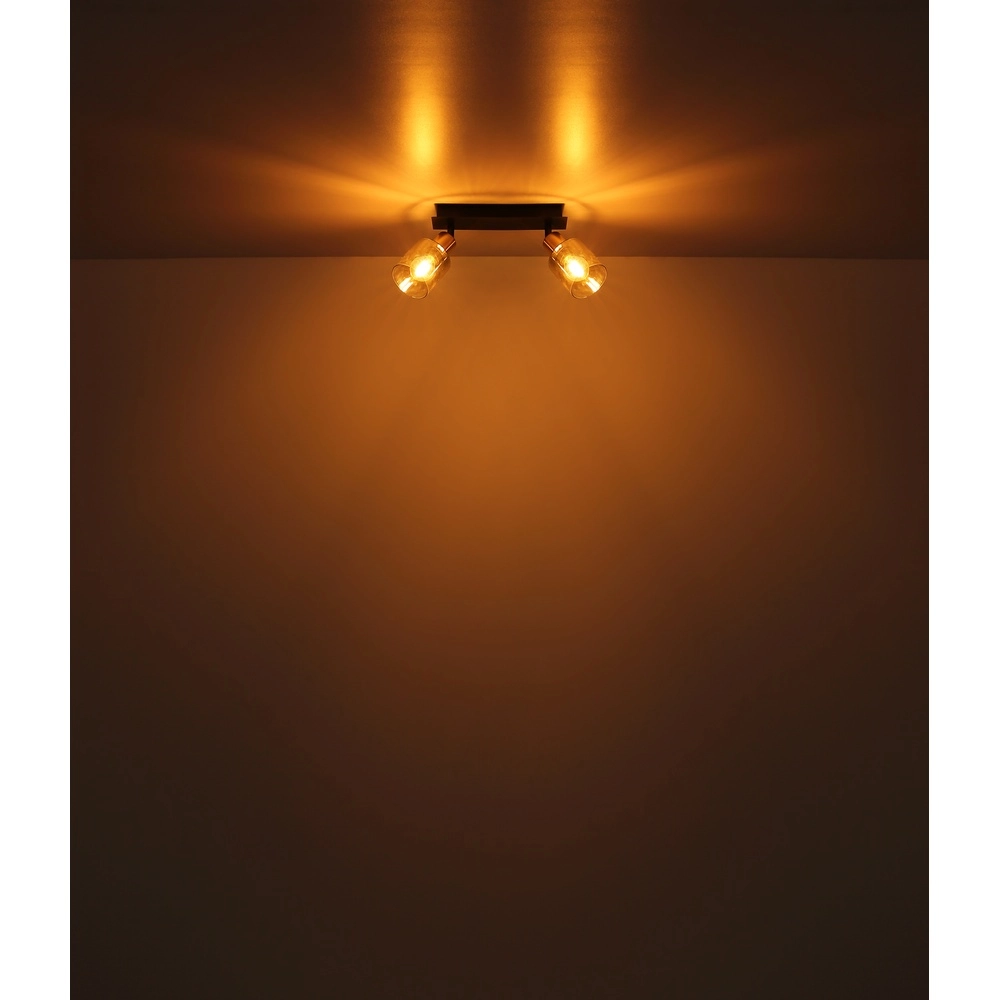 2-light ceiling lamp Hollsy black with smoke glass Globo 9007371445851