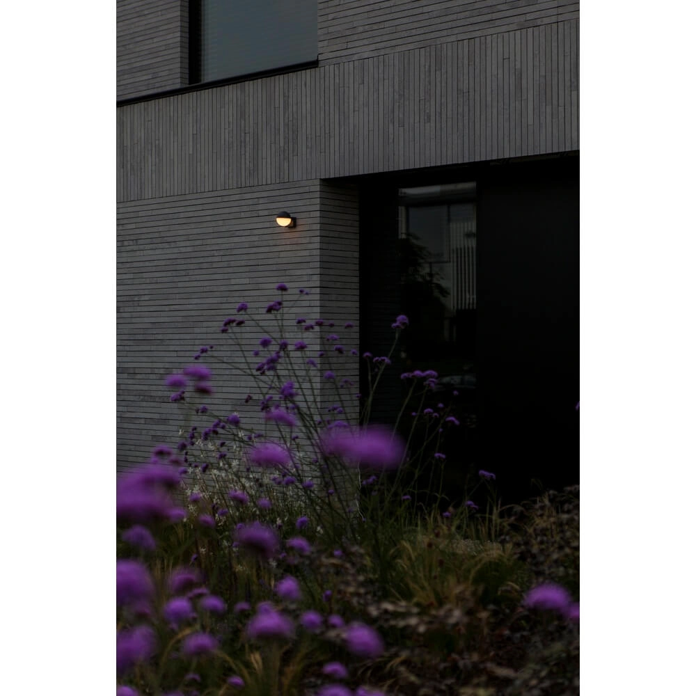 Sphere outdoor lamp Looma single - Ø 10cm Lutec 6939412016467