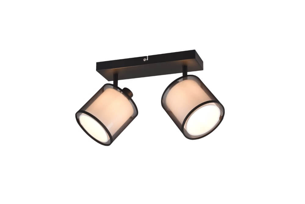 Black ceiling lamp Burton 2-light Trio 4017807538359