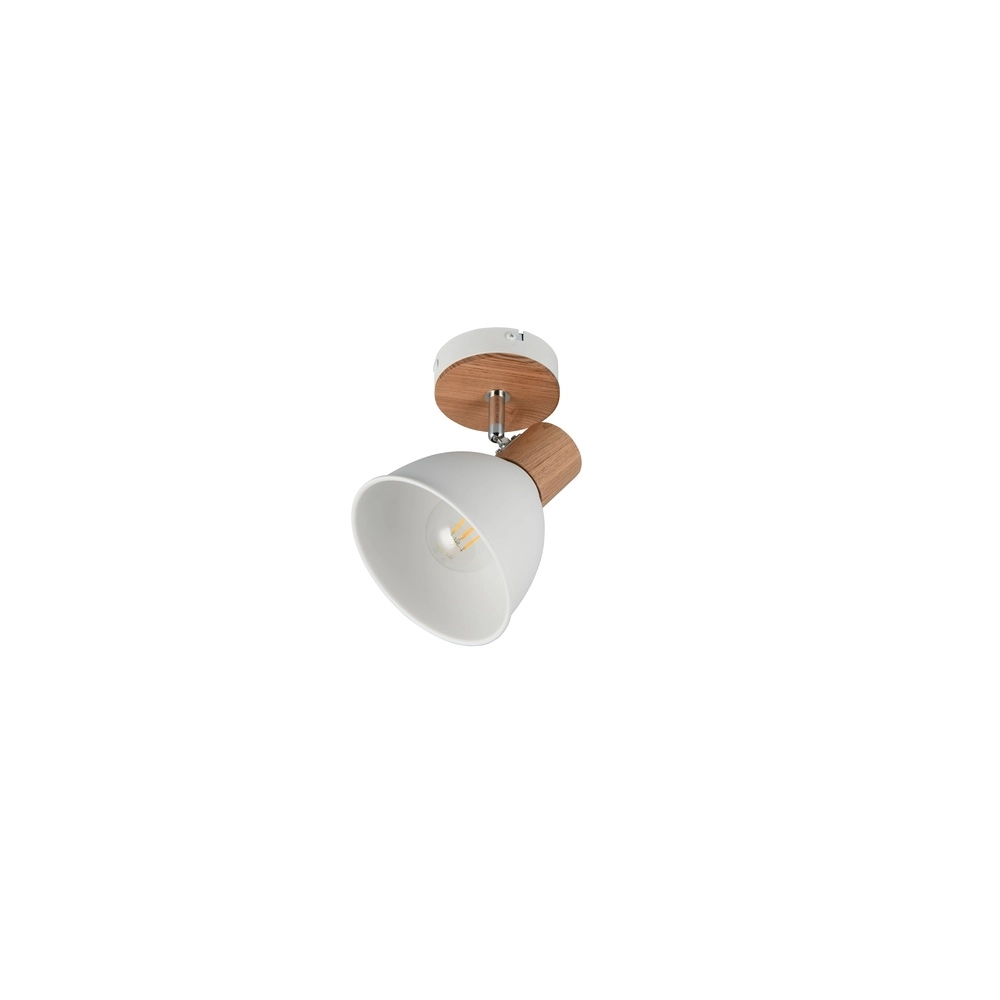 Ceiling lamp Delume only white Trio 4017807672213