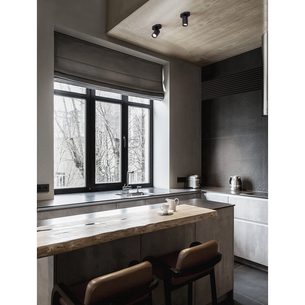 Ceiling spotlight Esto Single Black Lyora 5212017453419
