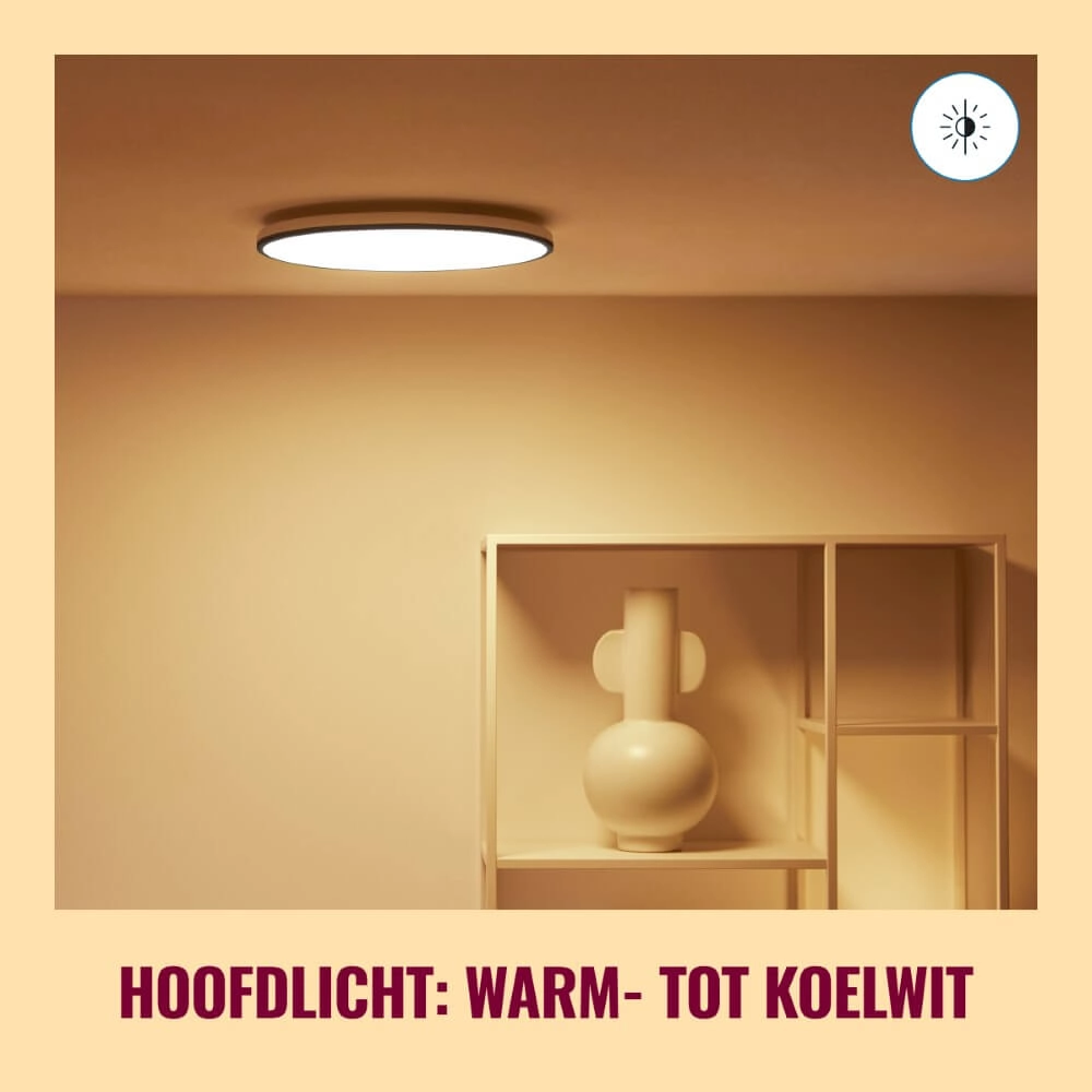 Smart ceiling light Rune Ø 40cm - black WiZ 8719514554290