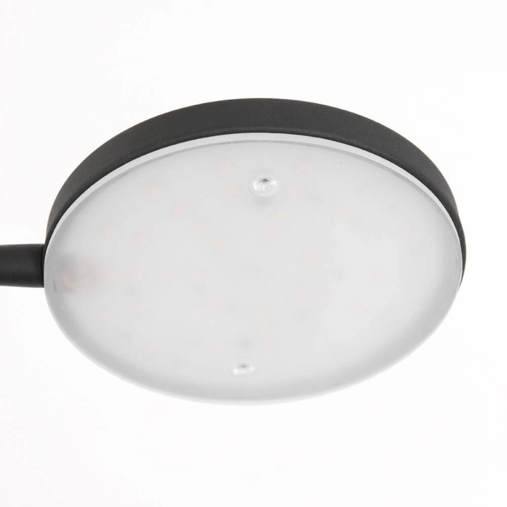 Flexible LED reading lamp Platu black Steinhauer 8712746151510