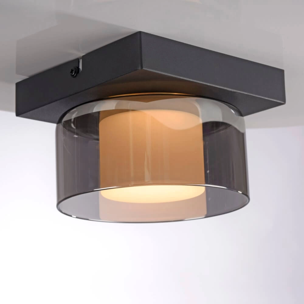 Black ceiling lamp Rika 1-light black Paul Neuhaus 4012248385012