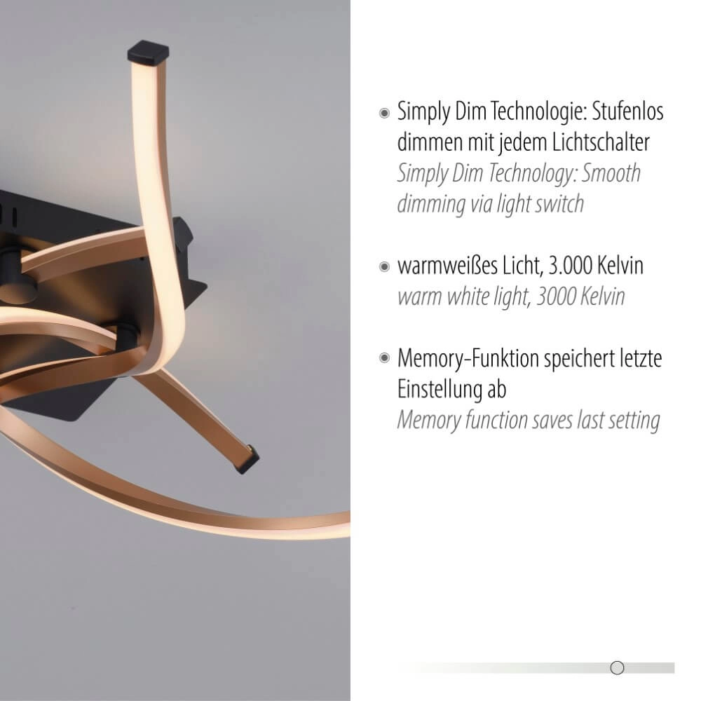 Design ceiling lamp Polina Paul Neuhaus 4012248371732