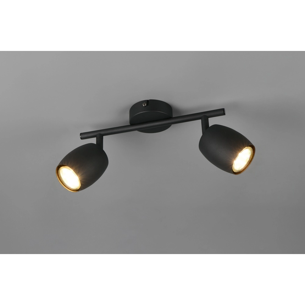 Ceiling lamp Nancy 2-light black Trio 4017807656602