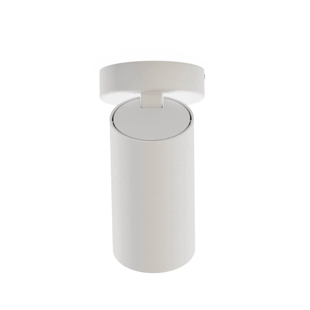 Tiltable surface-mounted spot Mono white with gold Lyora 5903139777193
