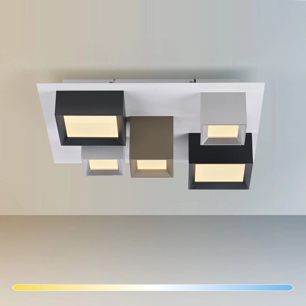 Led ceiling light Pure Manhattan 5-light Paul Neuhaus 4012248396889