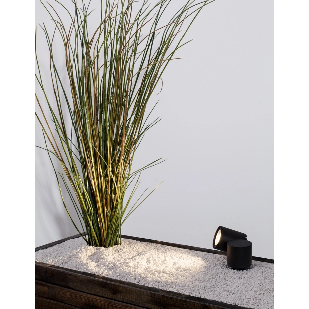 Spike spot Focus anthracite