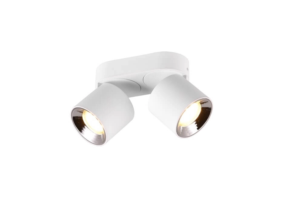 Ceiling light Guayana 2-light white Trio 4017807573954