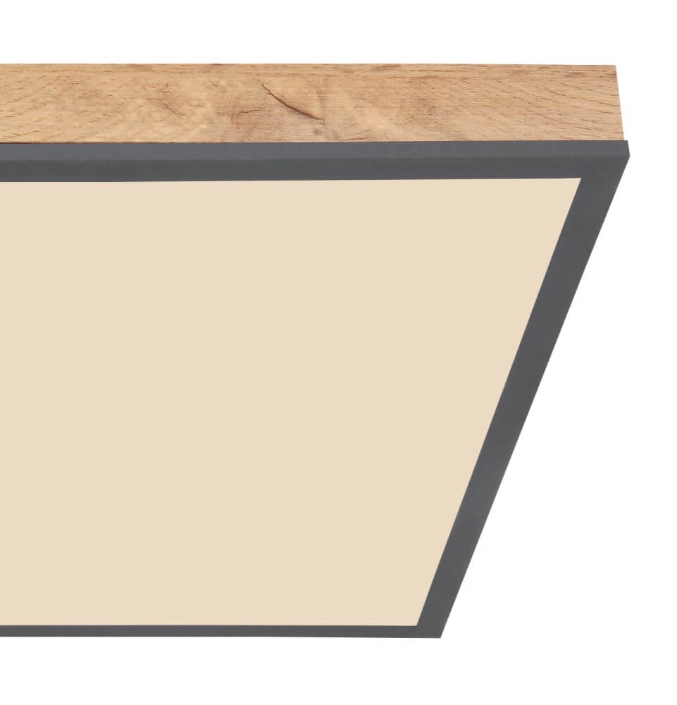 Dimmable LED ceiling lamp Doro 45x45cm Globo 9007371422760