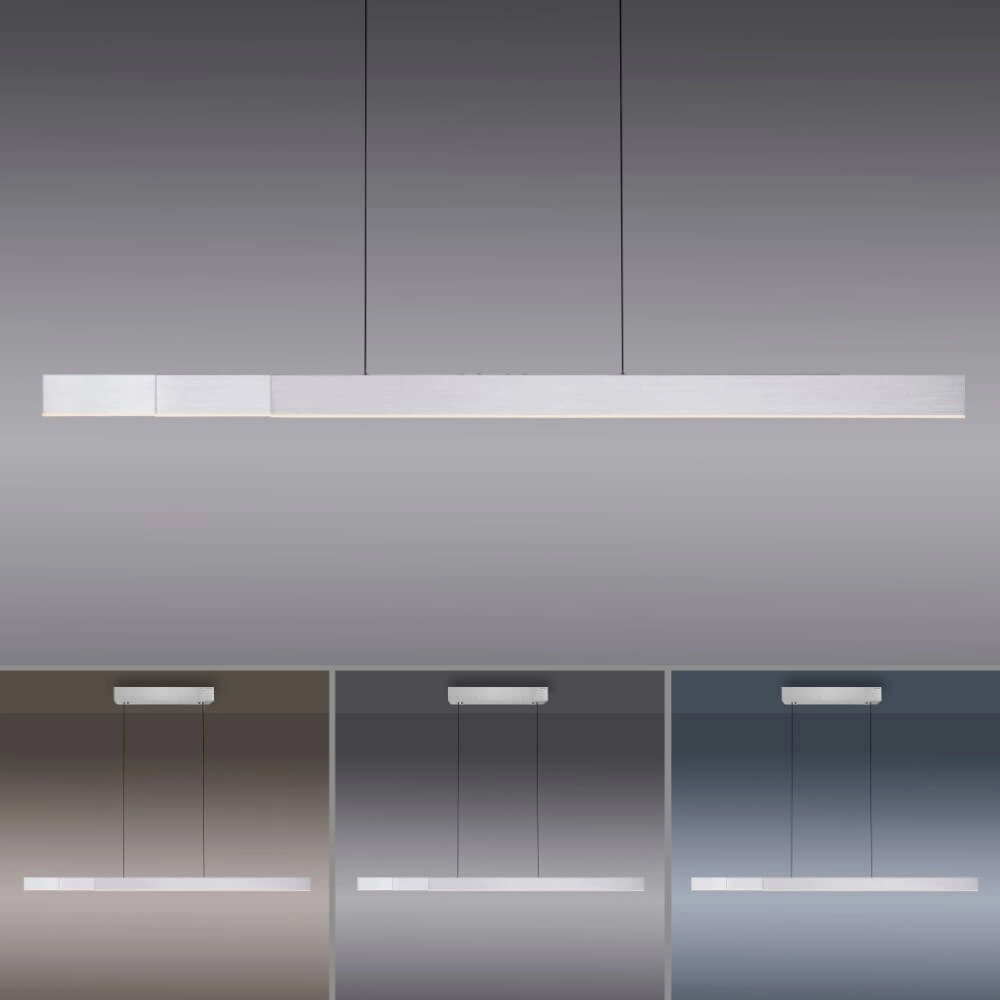 Design hanging lamp Pure Moto-Rise anthracite Paul Neuhaus 4012248371633
