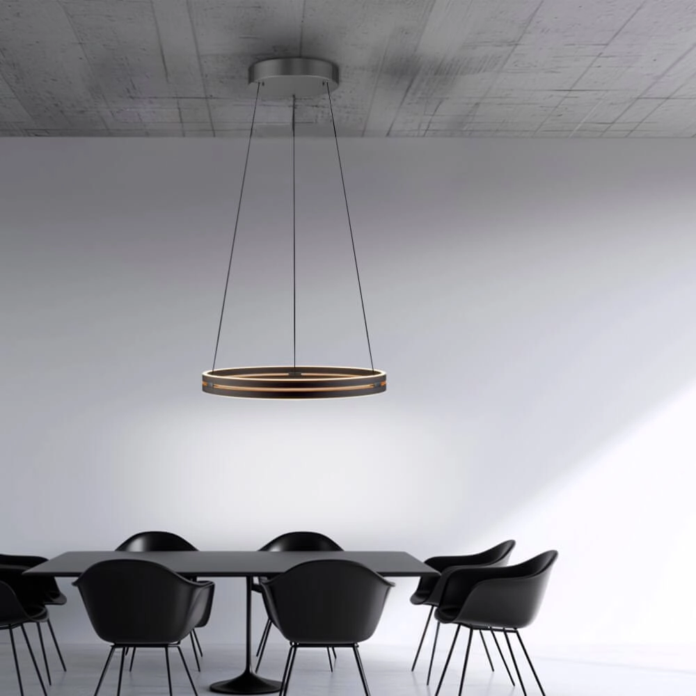 Sleek hanging lamp Pure E-Loop black Ø 70cm Paul Neuhaus 4012248384336