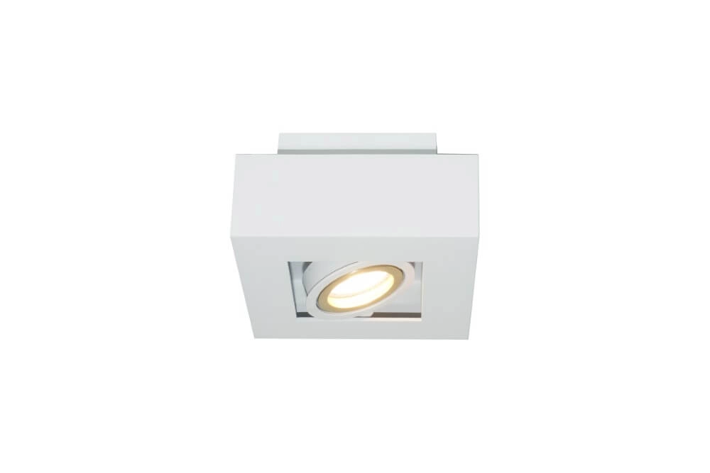 Surface-mounted spotlight Bosco single Artdelight 8719831737291