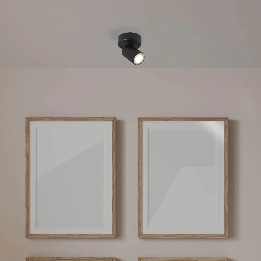 Ceiling lamp Moon 1 Round Black Lyora