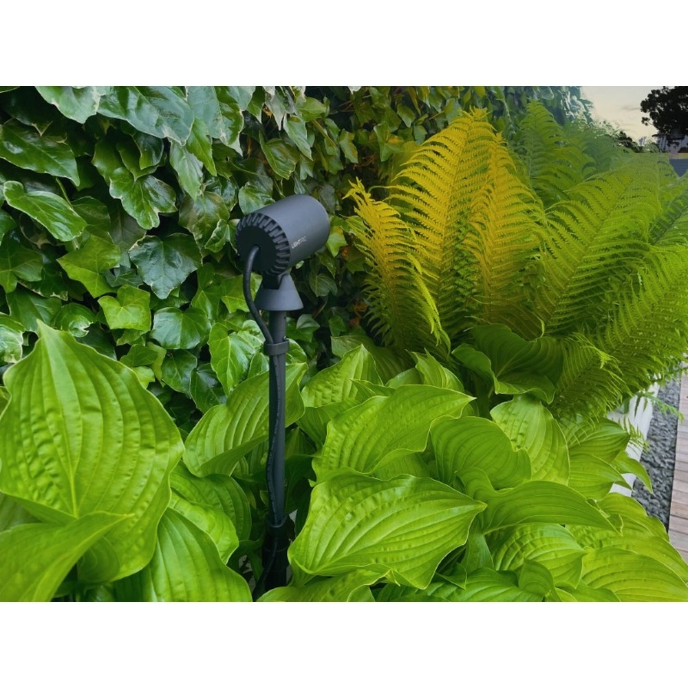 Black Multispike 40 to 60cm Lightpro 8719979284459