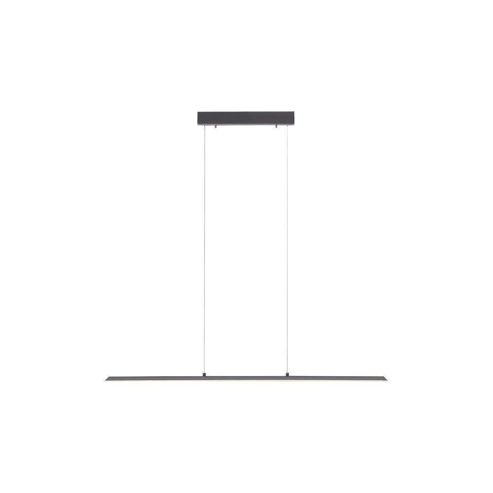 Design hanging lamp Pure Lite 100cm anthracite Paul Neuhaus 4012248344873