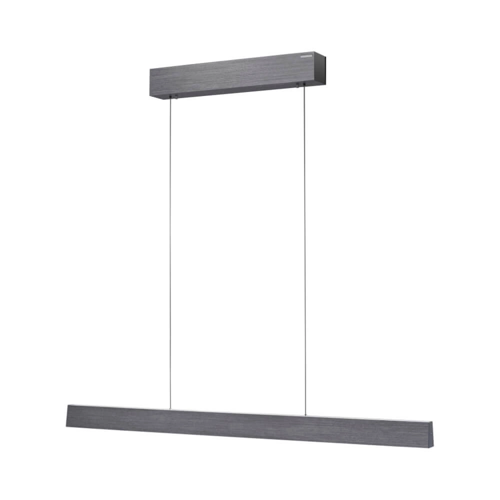 Design hanging lamp Pure E-Motion gray
