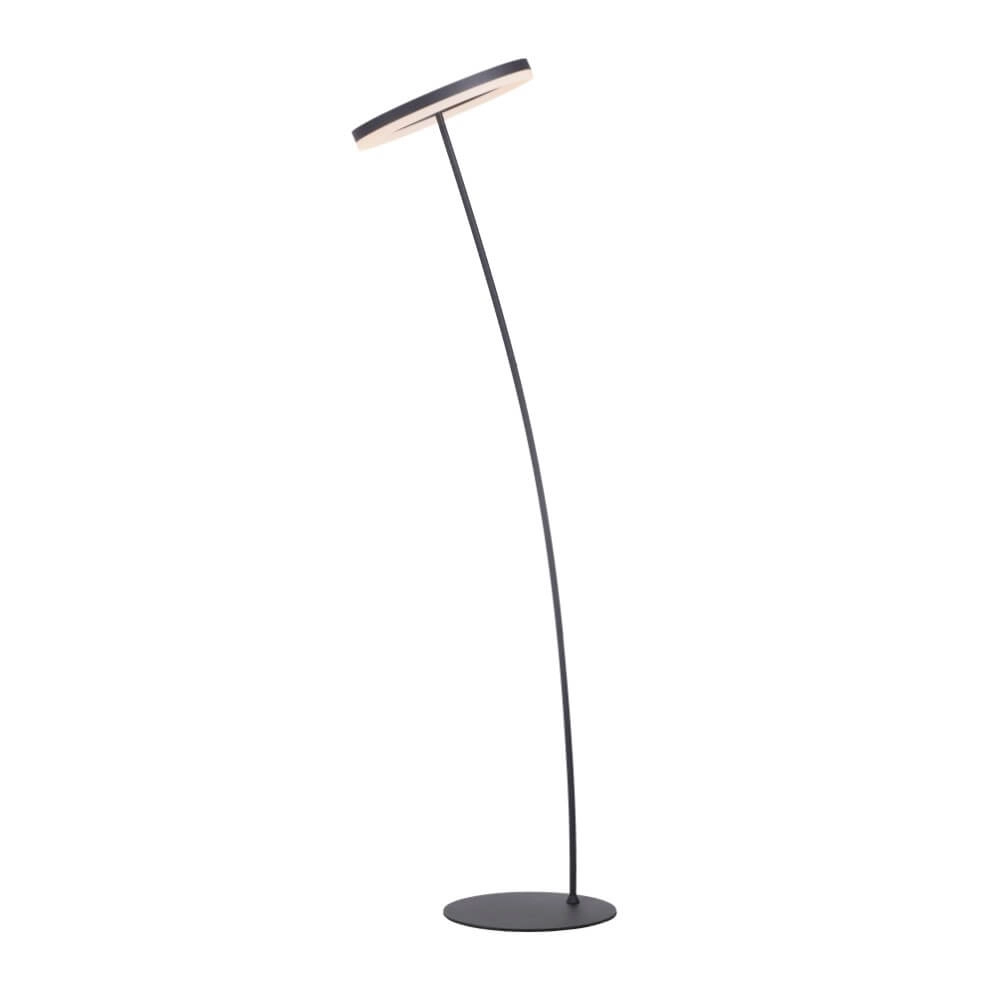Anthracite floor lamp Titus modern Paul Neuhaus 4012248357637