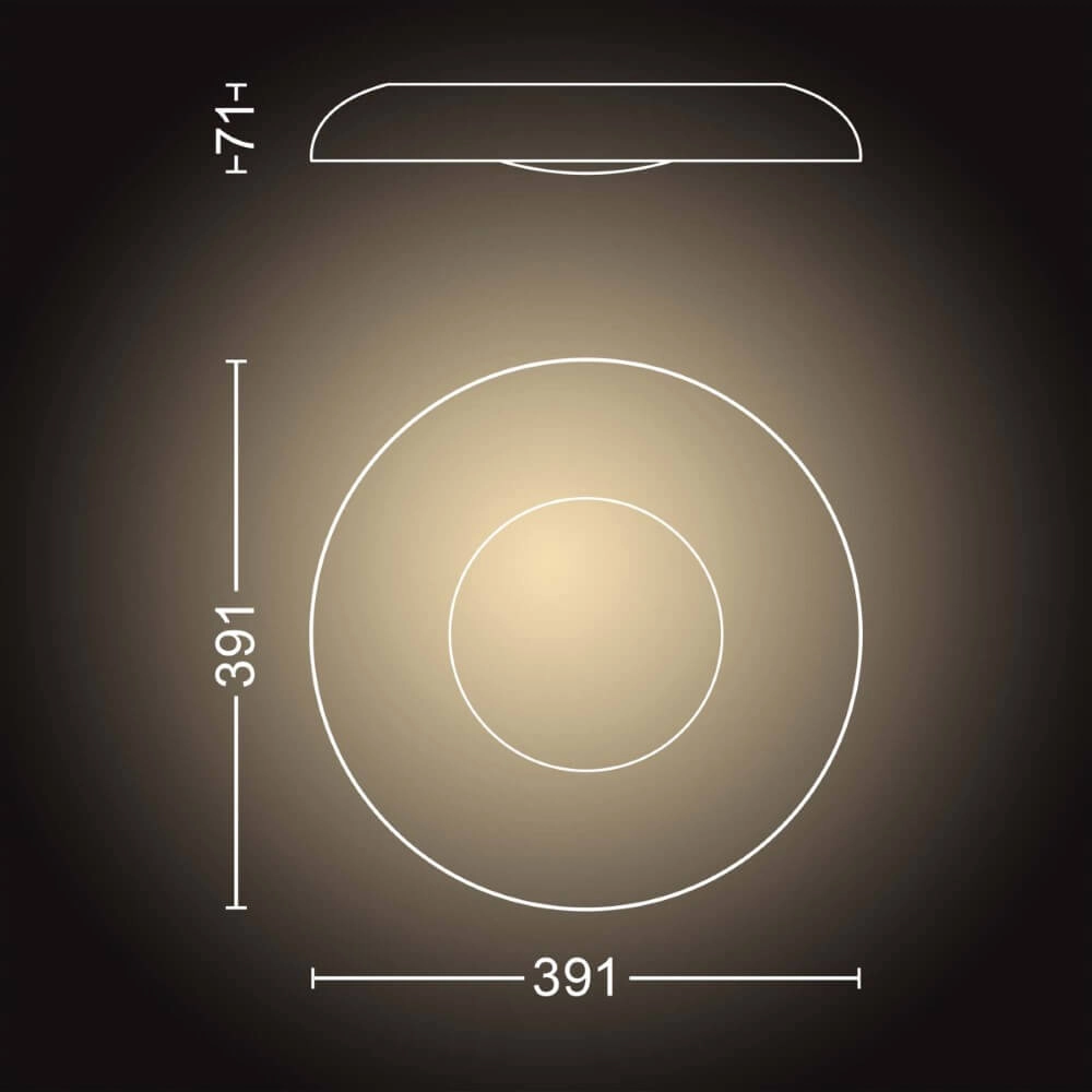 Ceiling light Hue Still - White Ambiance Ø 39.1cm silver gray Philips 8719514341333