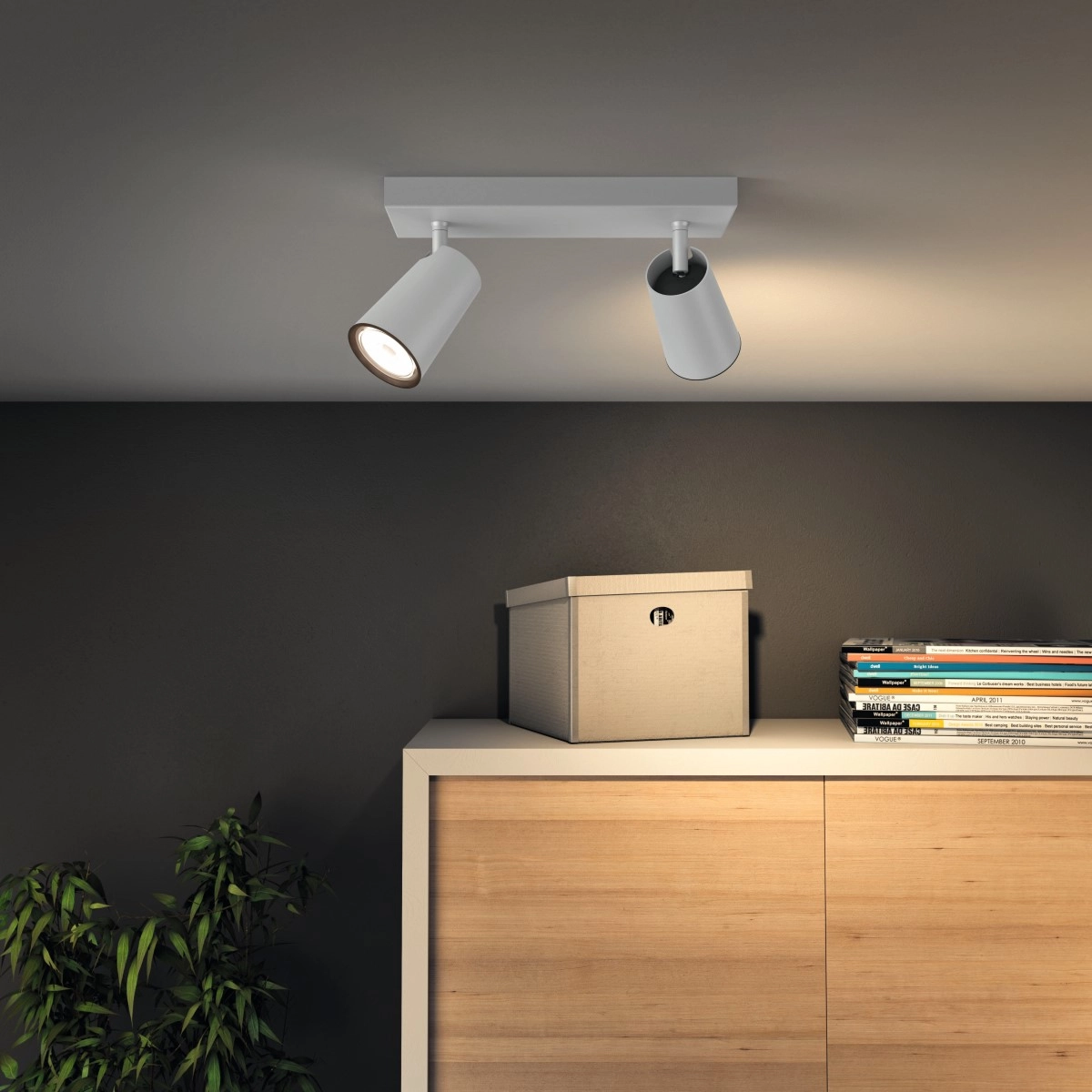 Spot lamp Paisley 2-light white Philips 8718696164662