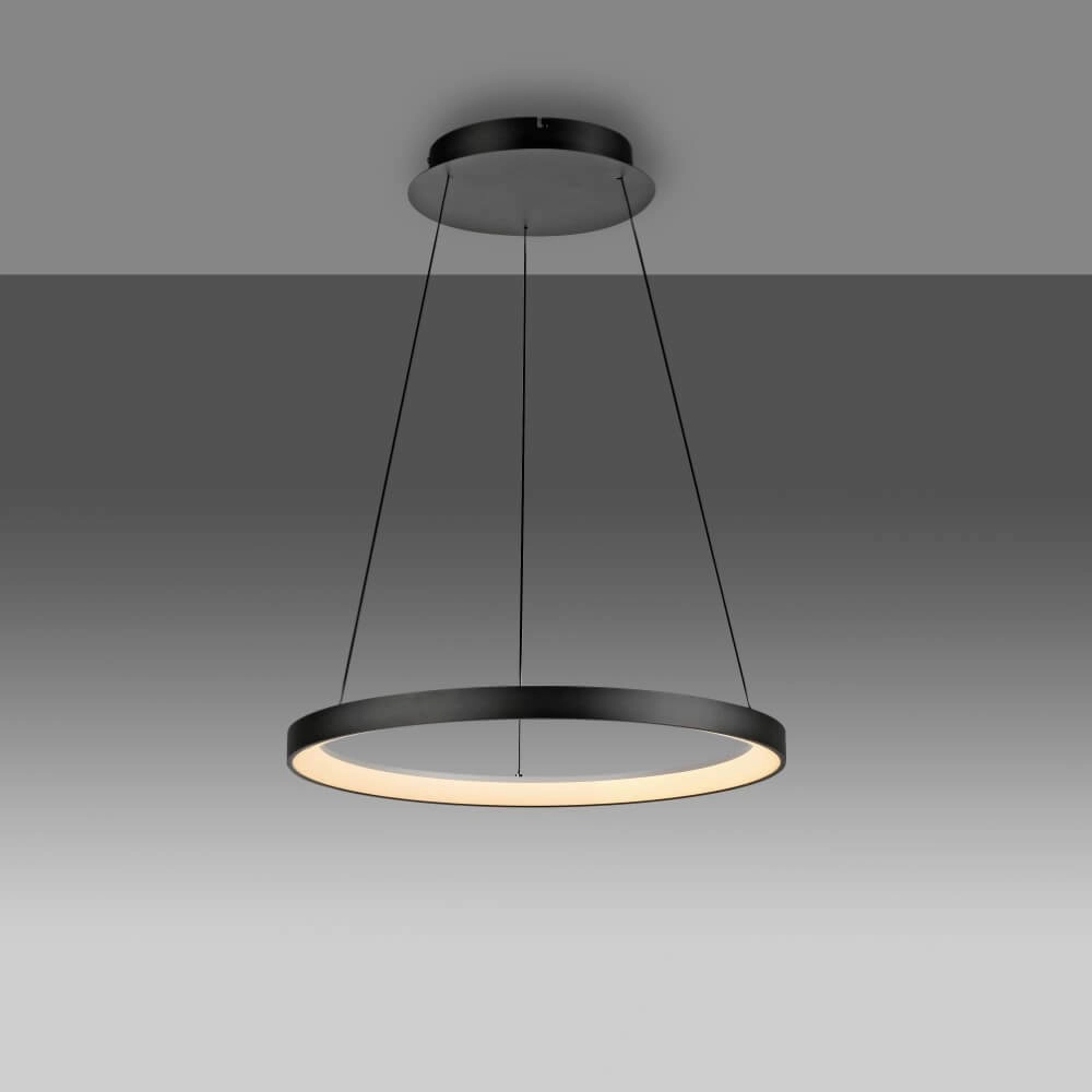 Round pendant lamp Hoop black Paul Neuhaus 4012248384695