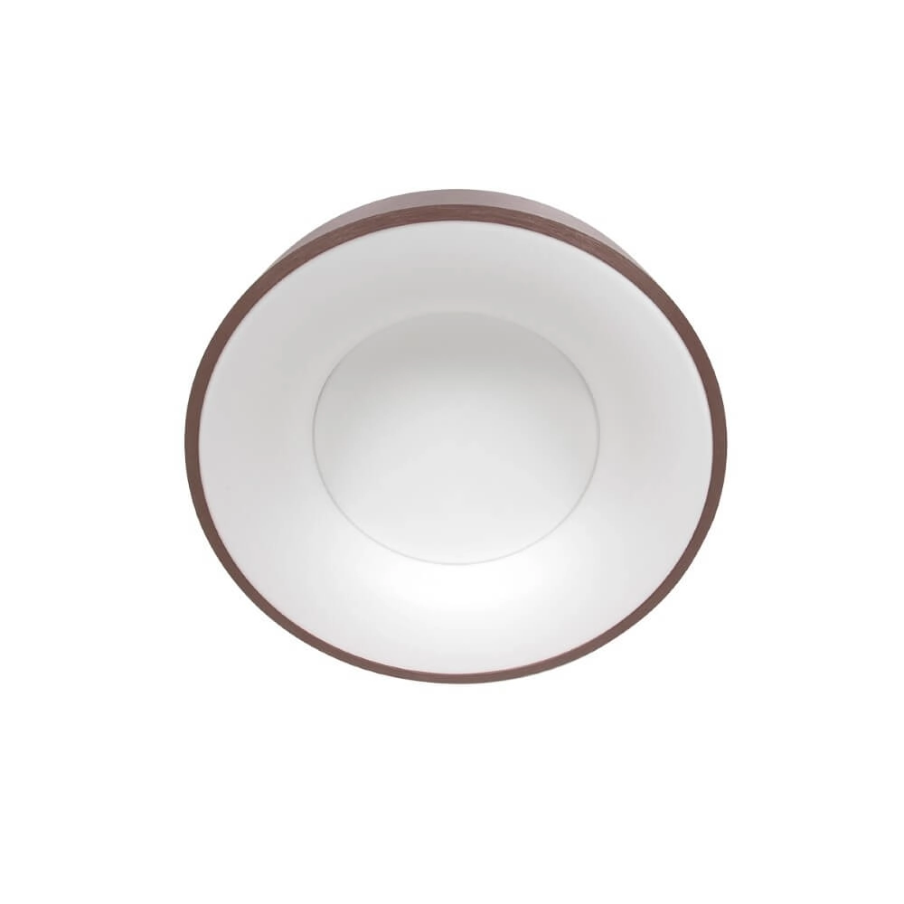 Bronze LED ceiling lamp Ringlede Ø 30cm Steinhauer 8712746167429