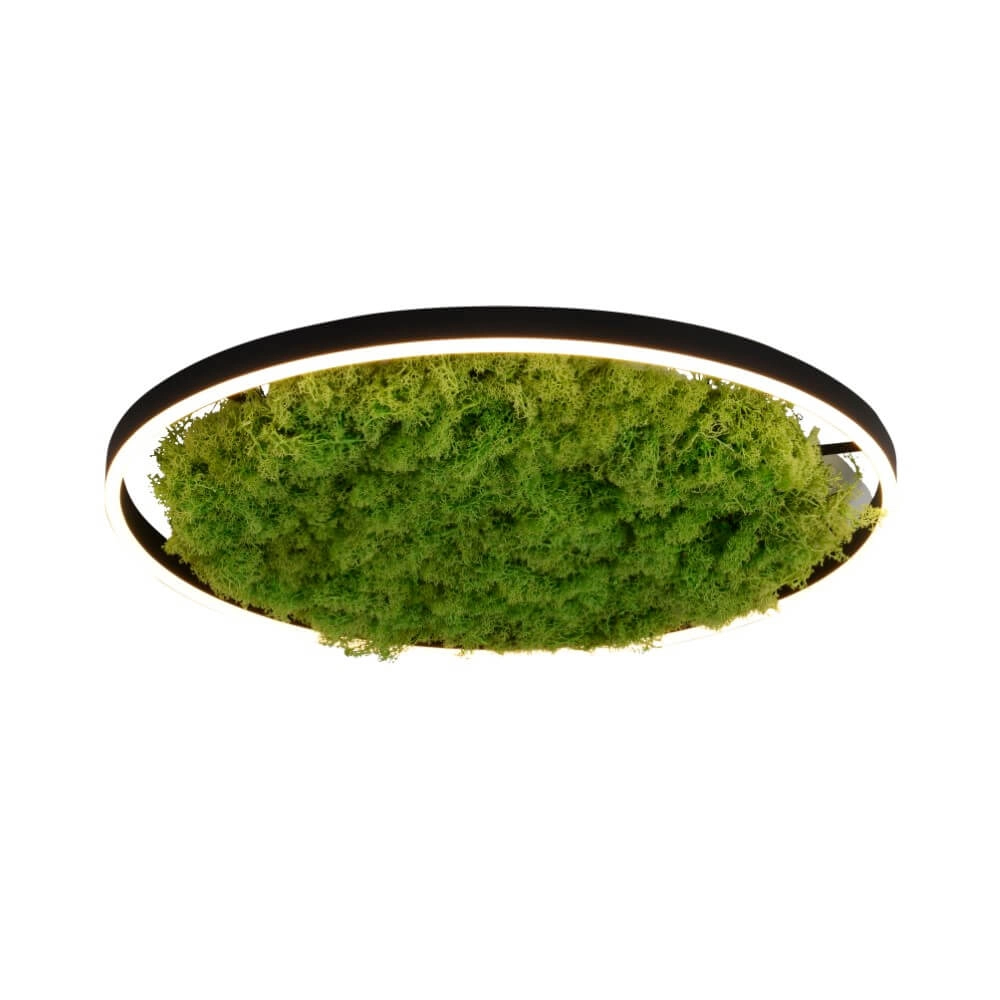 Ceiling lamp Green Ritus with moss Ø 58,5cm