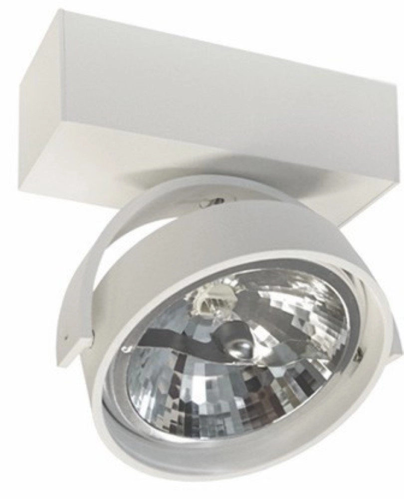 White surface mounted spot Dutchess