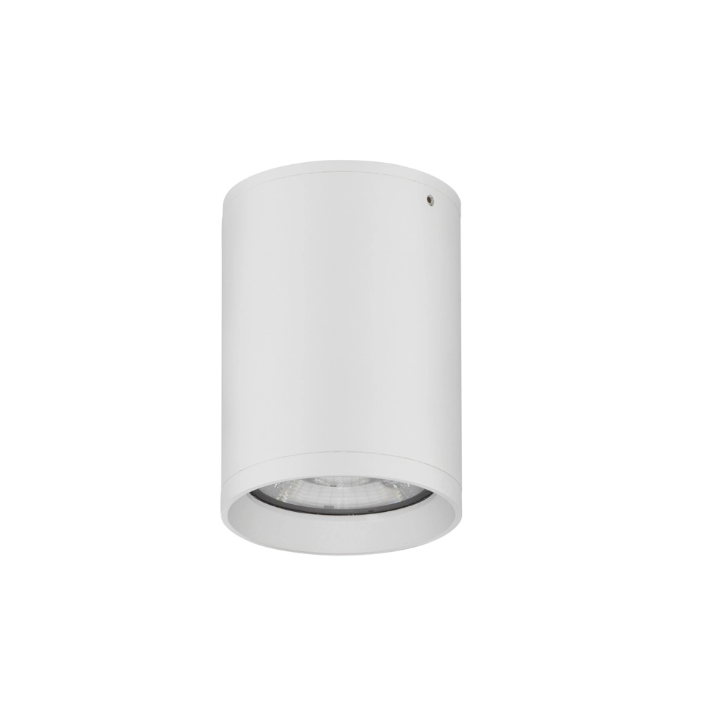Surface-mounted spot Dara white Lyora 5212017444318